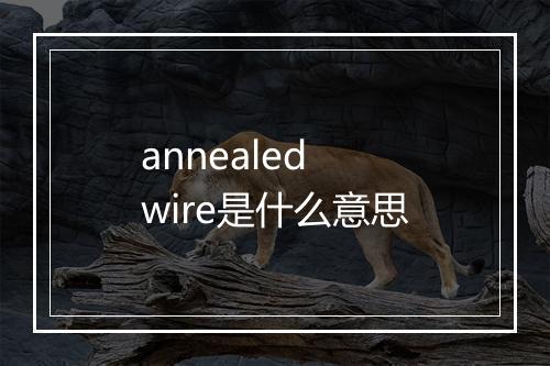 annealed wire是什么意思