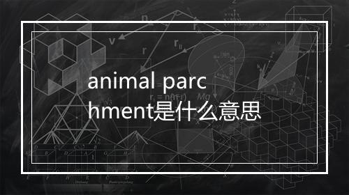 animal parchment是什么意思