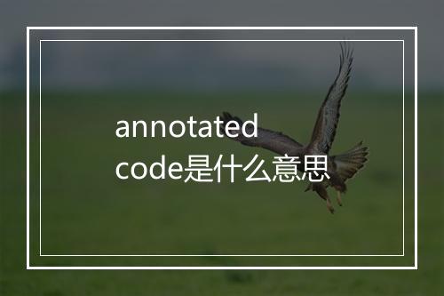 annotated code是什么意思