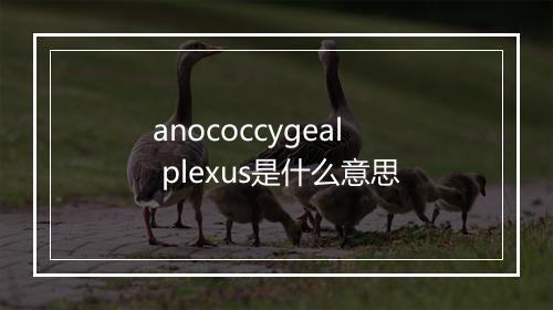 anococcygeal plexus是什么意思