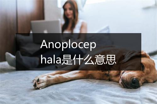 Anoplocephala是什么意思