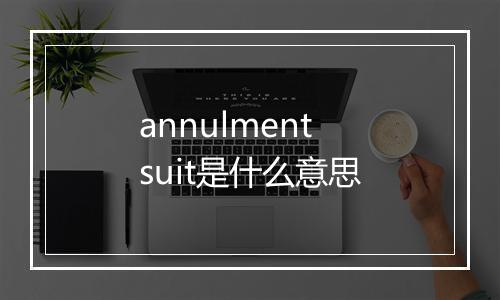 annulment suit是什么意思