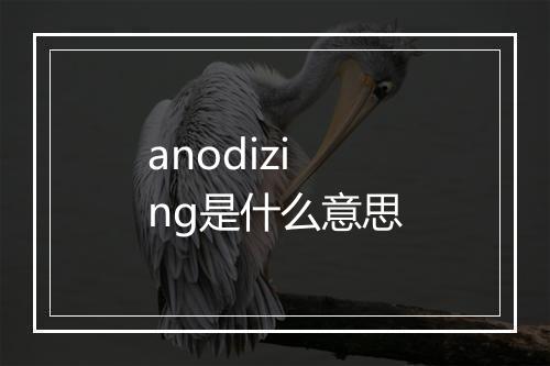 anodizing是什么意思