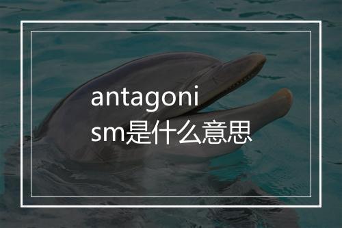 antagonism是什么意思