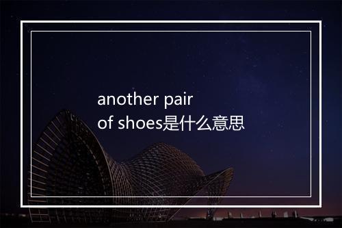 another pair of shoes是什么意思