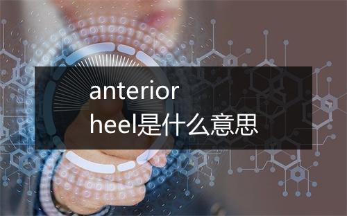 anterior heel是什么意思