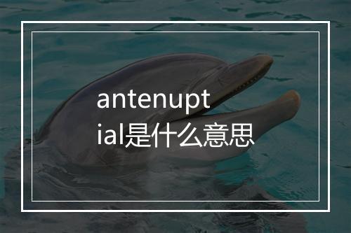 antenuptial是什么意思