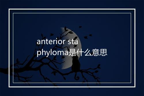 anterior staphyloma是什么意思