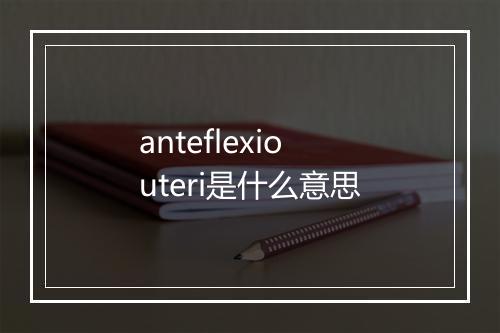 anteflexio uteri是什么意思