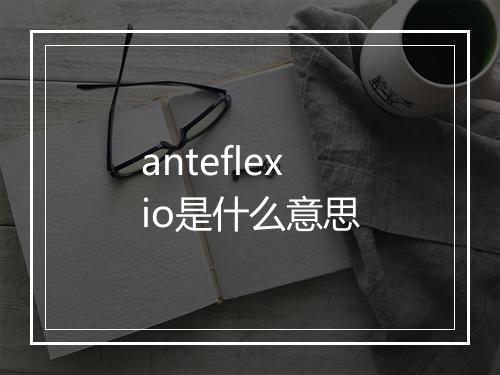 anteflexio是什么意思