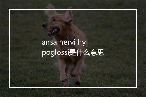 ansa nervi hypoglossi是什么意思