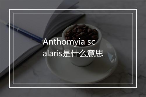 Anthomyia scalaris是什么意思