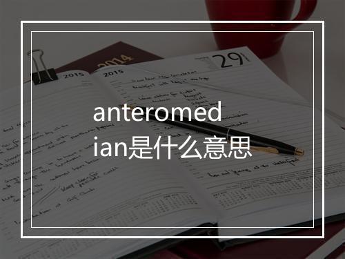 anteromedian是什么意思