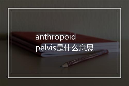 anthropoid pelvis是什么意思