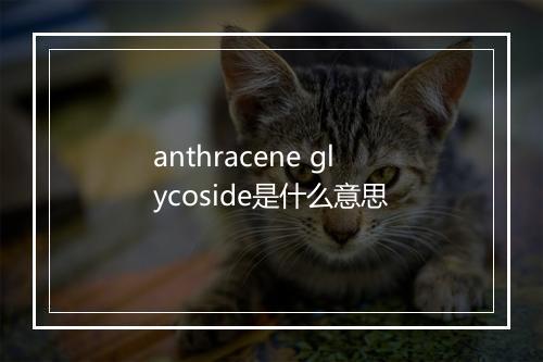 anthracene glycoside是什么意思