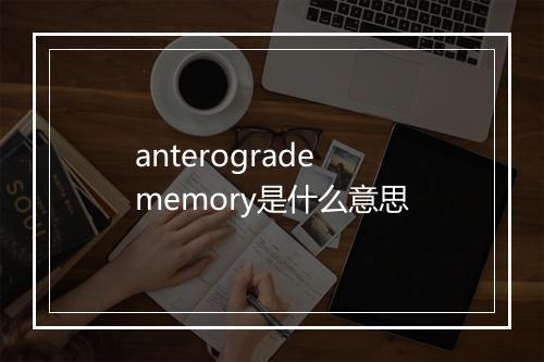 anterograde memory是什么意思