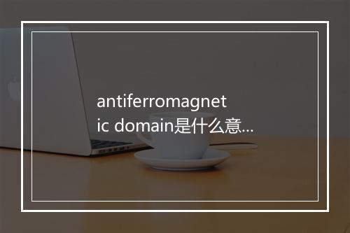 antiferromagnetic domain是什么意思