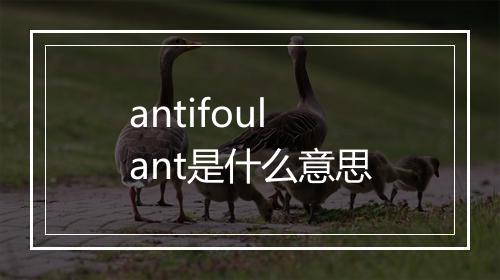 antifoulant是什么意思