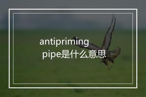 antipriming pipe是什么意思