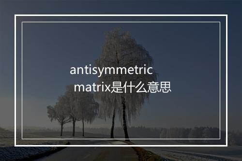 antisymmetric matrix是什么意思