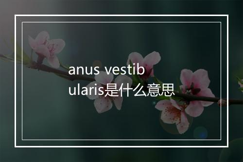 anus vestibularis是什么意思