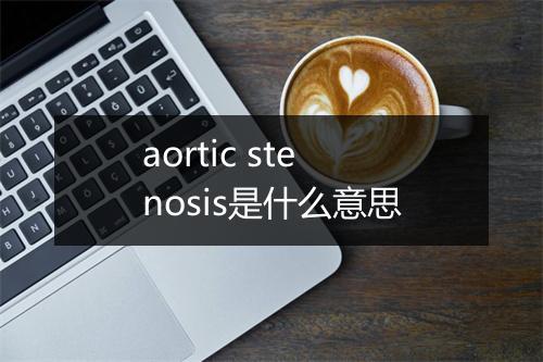 aortic stenosis是什么意思