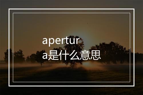 apertura是什么意思