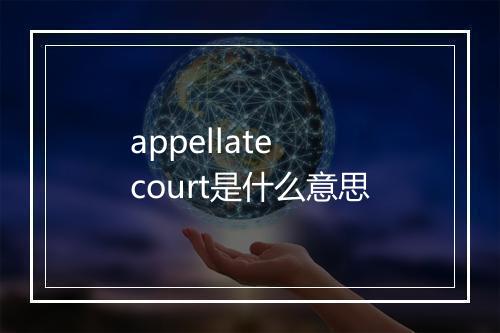 appellate court是什么意思