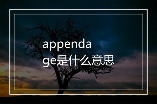 appendage是什么意思