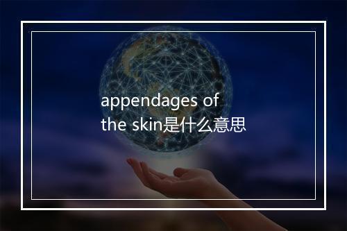 appendages of the skin是什么意思