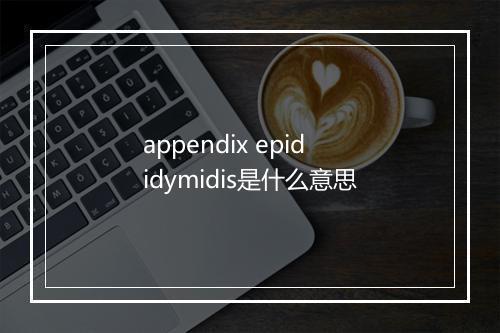 appendix epididymidis是什么意思