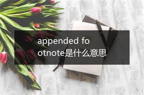 appended footnote是什么意思