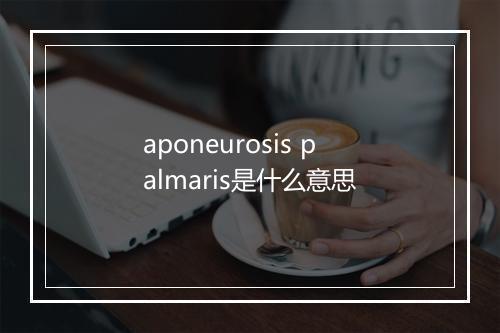 aponeurosis palmaris是什么意思