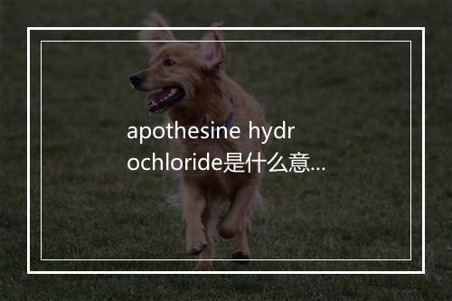 apothesine hydrochloride是什么意思