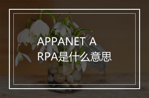 APPANET ARPA是什么意思