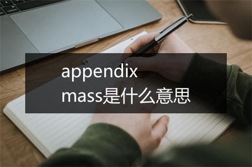 appendix mass是什么意思