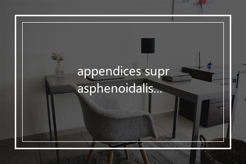 appendices suprasphenoidalis是什么意思