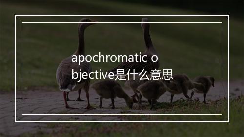 apochromatic objective是什么意思