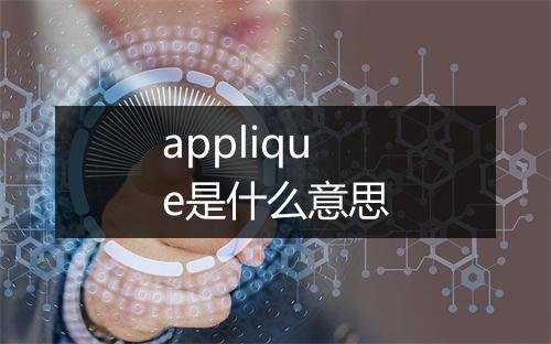 applique是什么意思