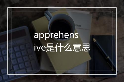 apprehensive是什么意思