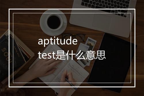 aptitude test是什么意思