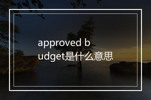 approved budget是什么意思