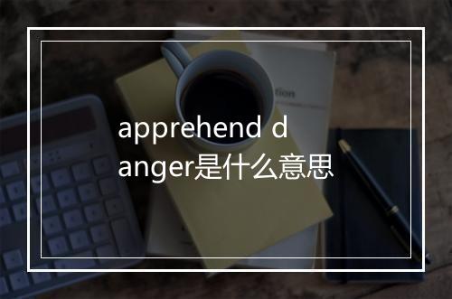 apprehend danger是什么意思