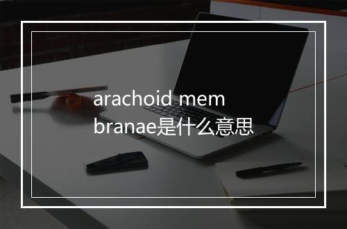 arachoid membranae是什么意思