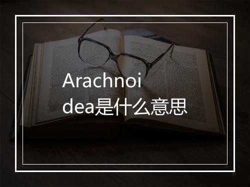 Arachnoidea是什么意思