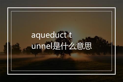 aqueduct tunnel是什么意思