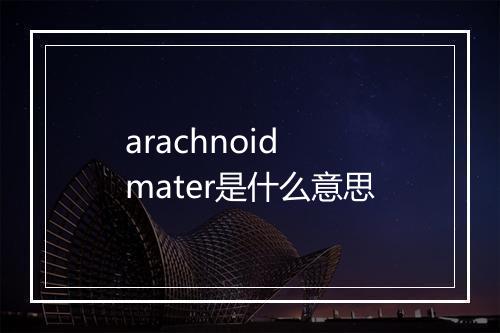 arachnoid mater是什么意思