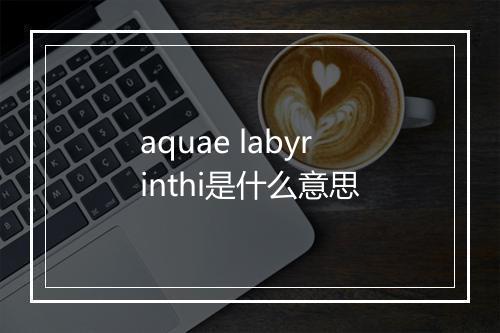 aquae labyrinthi是什么意思