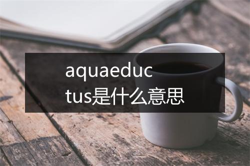 aquaeductus是什么意思