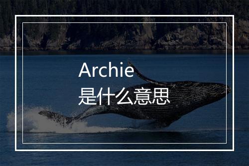 Archie是什么意思